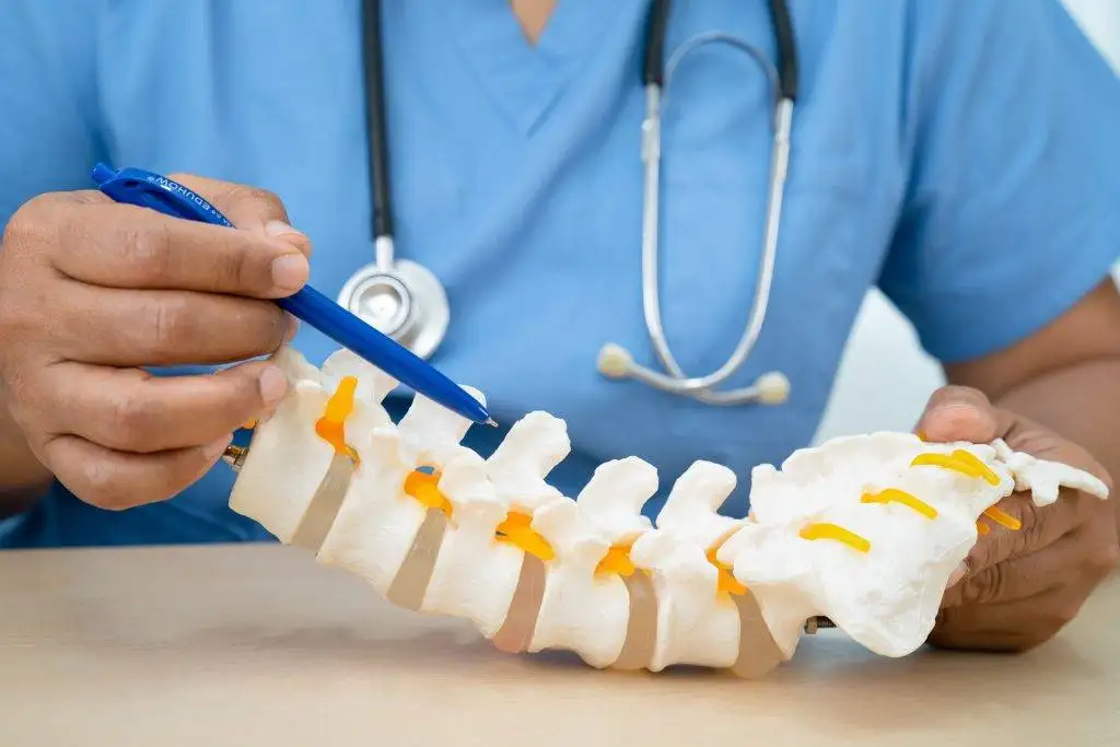 Medical professional explaining lumbar spine anatomy using a vertebral column model