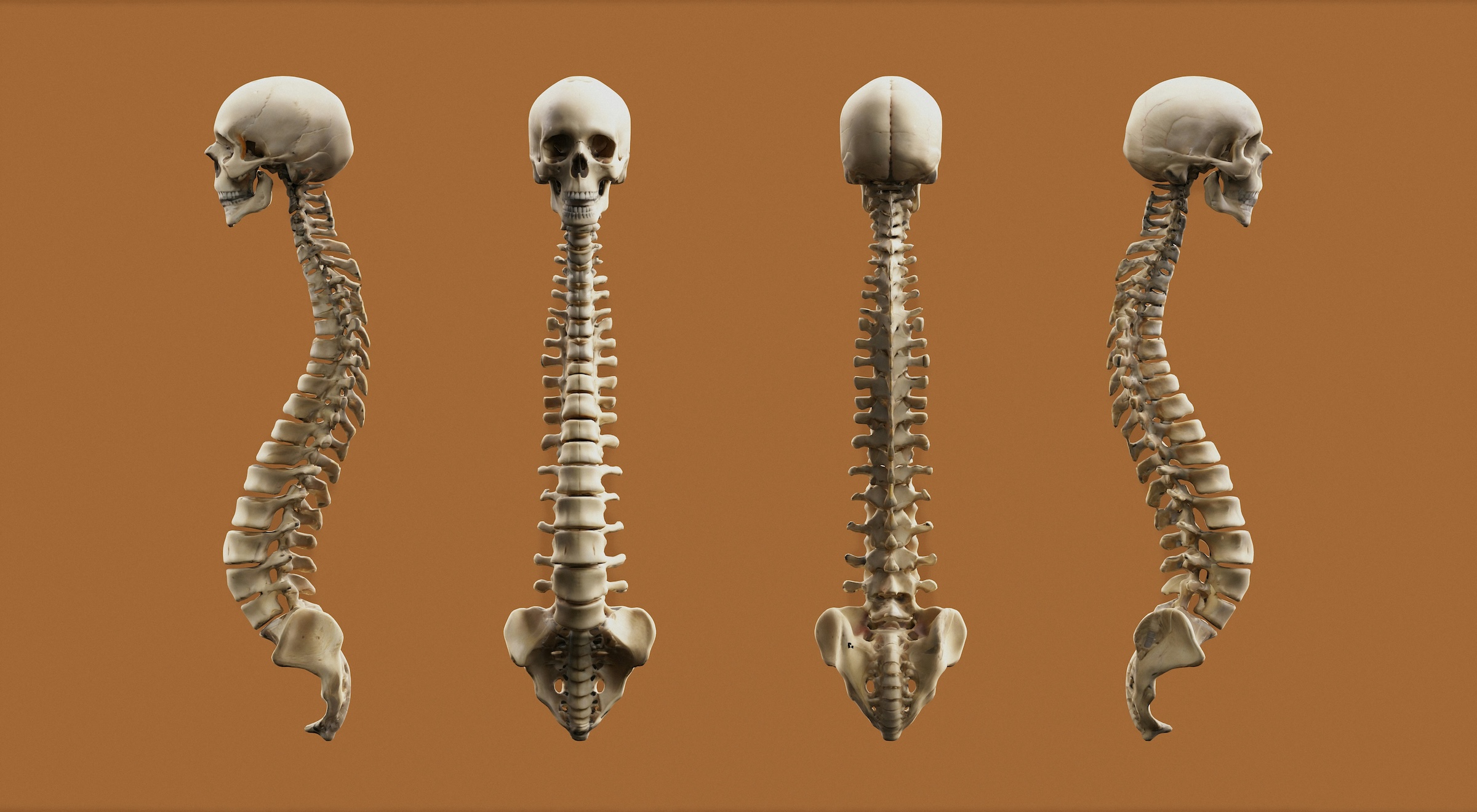 Los Angeles Spinal Cord Injury Lawyer | Free Consult