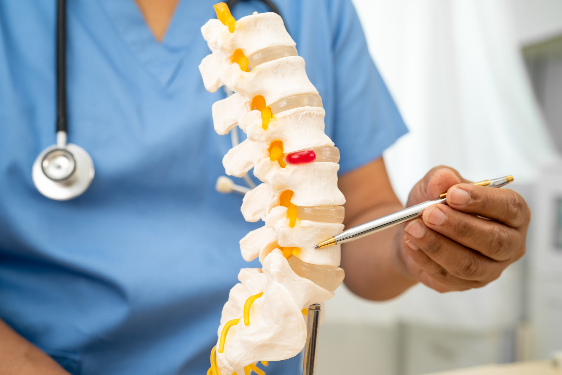 doctor with lumbar vertebra bone skeleton model