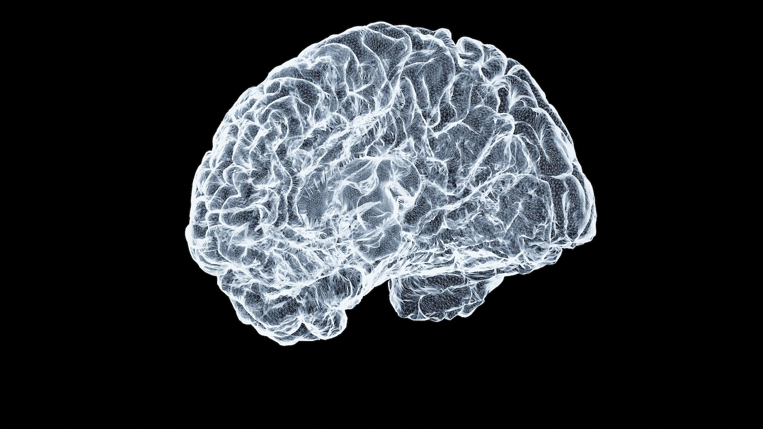 Los Angeles Brain Injury Lawyer | Free Consultation